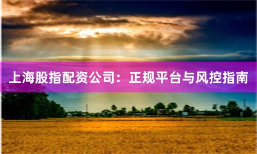 上海股指配资公司：正规平台与风控指南