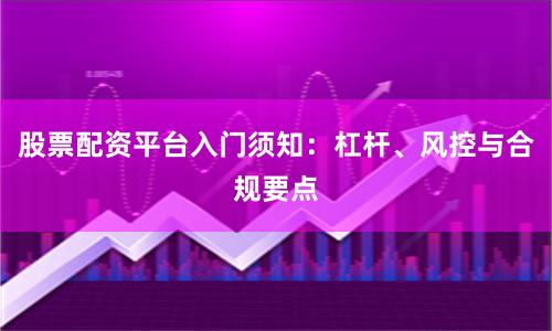 股票配资平台入门须知：杠杆、风控与合规要点